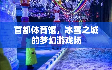冰雪之城的夢(mèng)幻游戲場(chǎng)，首都體育館的冰雪奇緣  第1張