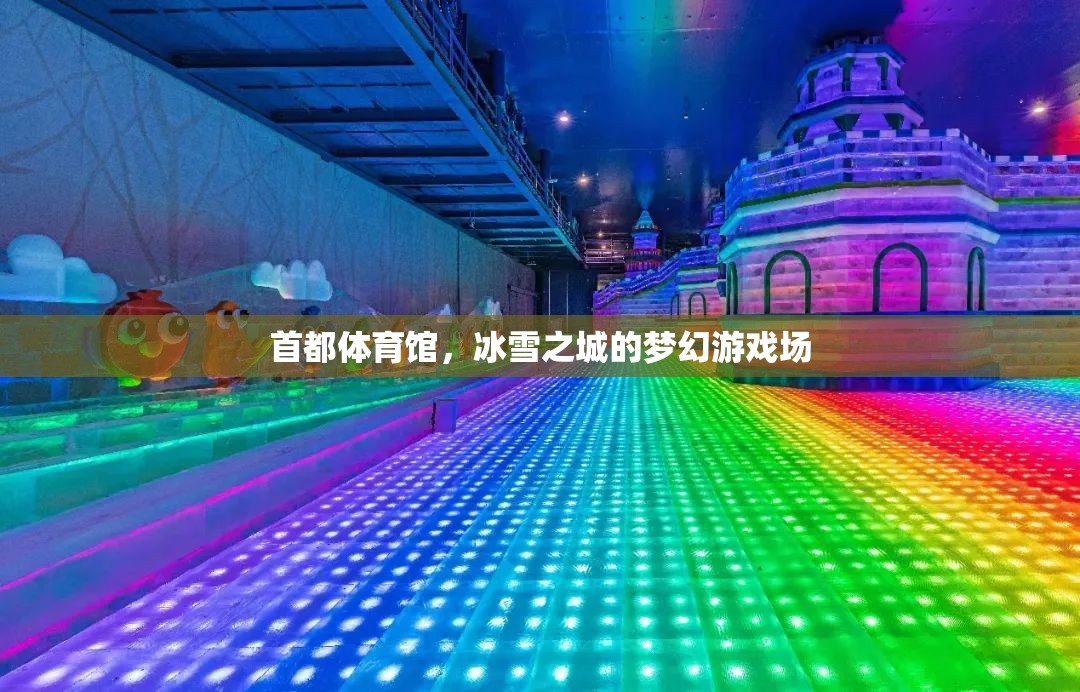 冰雪之城的夢(mèng)幻游戲場(chǎng)，首都體育館的冰雪奇緣  第3張