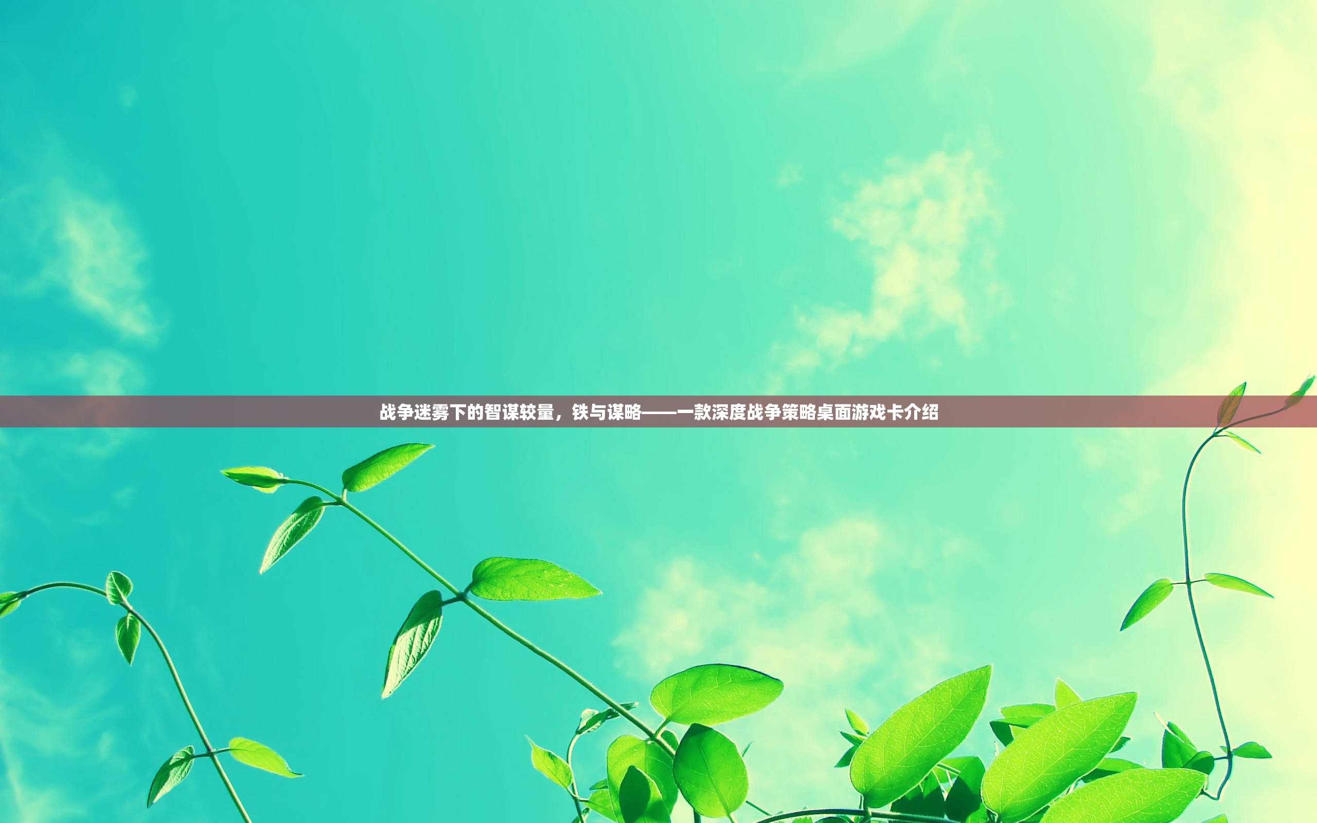 鐵與謀略，戰(zhàn)爭迷霧下的智謀較量桌面游戲卡深度解析  第3張
