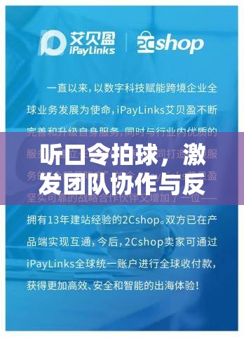 聽令拍球，提升團(tuán)隊(duì)協(xié)作與反應(yīng)能力的體育游戲教案