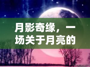 月影奇緣，一場(chǎng)創(chuàng)意無限的月亮冒險(xiǎn)之旅