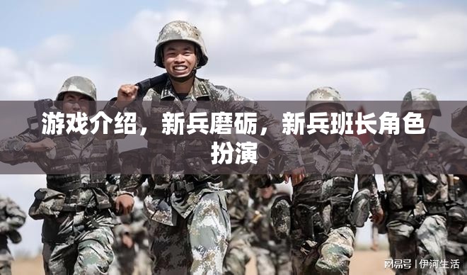 新兵磨礪，新兵班長角色扮演的成長之旅