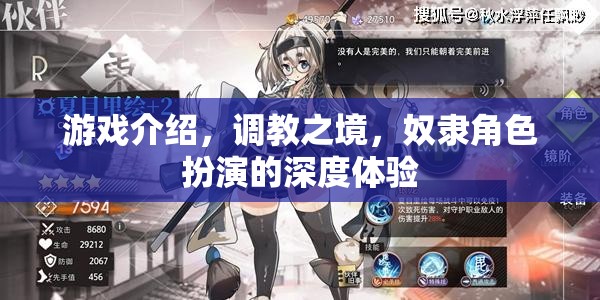 調(diào)教之境，深度體驗(yàn)奴隸角色扮演的奇幻游戲  第3張