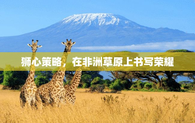 獅心策略，非洲草原上的榮耀書寫