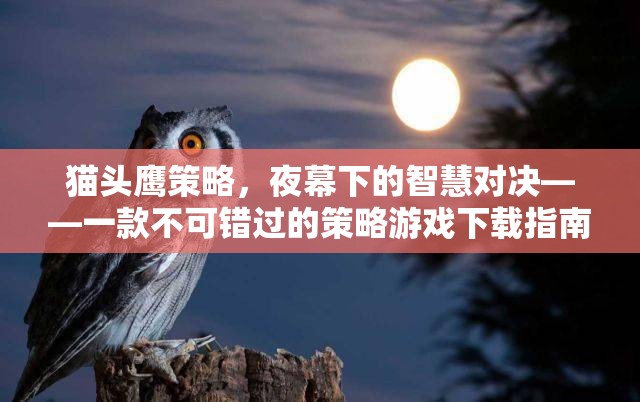 夜幕下的智慧對決，貓頭鷹策略游戲下載指南