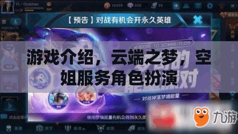 游戲介紹，云端之夢，空姐服務角色扮演