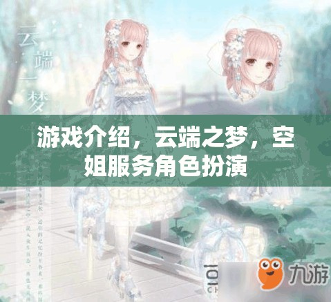 游戲介紹，云端之夢，空姐服務角色扮演