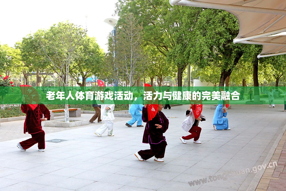 活力與健康的完美融合，老年人體育游戲活動