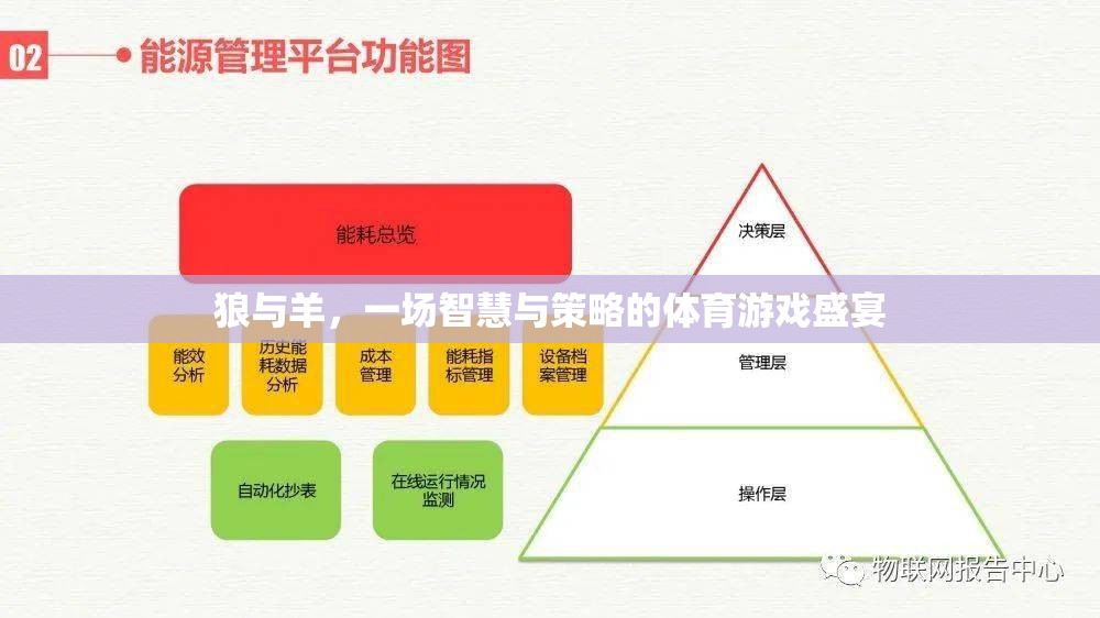 狼羊?qū)Q，智慧與策略的體育游戲盛宴