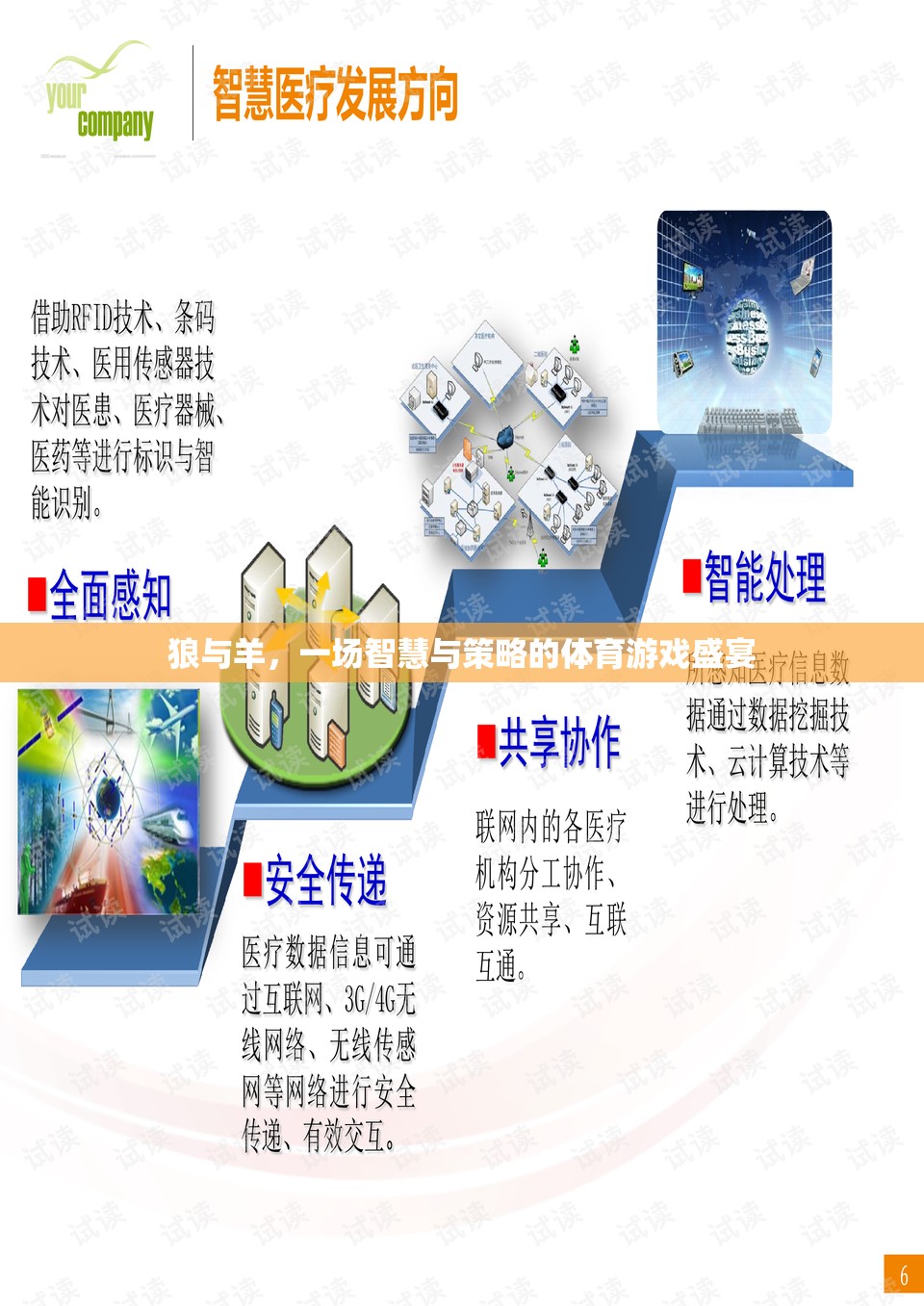 狼羊?qū)Q，智慧與策略的體育游戲盛宴