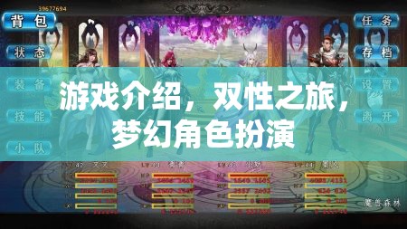 雙性之旅，夢(mèng)幻角色扮演的奇幻游戲之旅