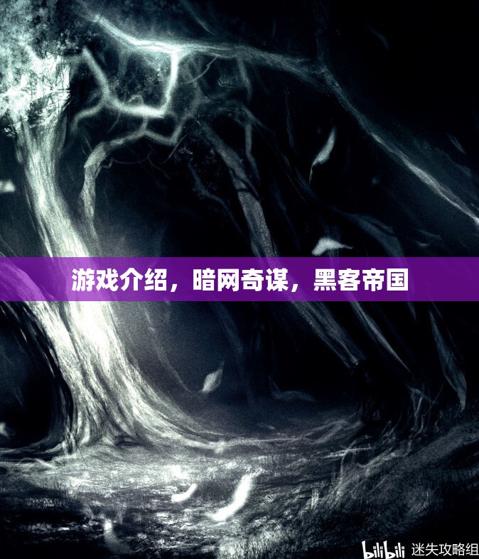 暗網(wǎng)奇謀，探索黑客帝國的游戲之旅