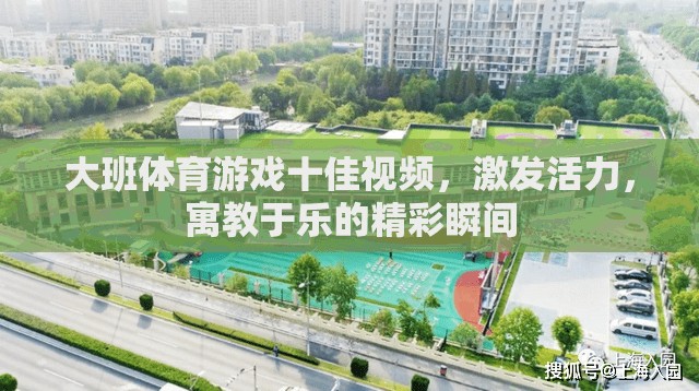 大班體育游戲十佳視頻，激發(fā)活力，寓教于樂(lè)的精彩瞬間