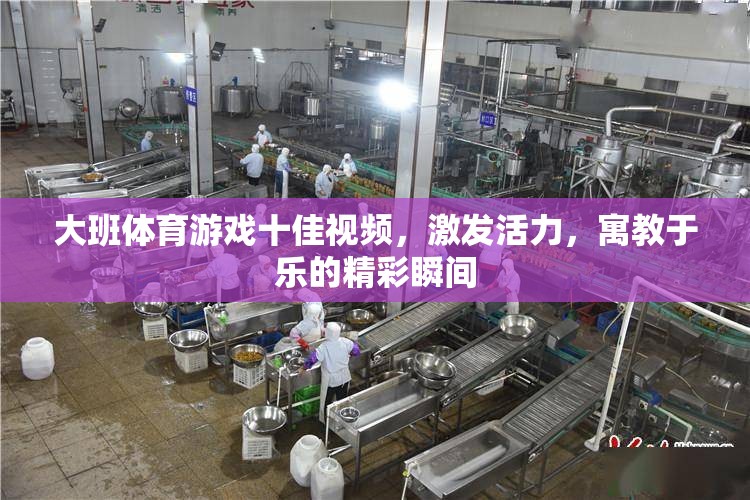 大班體育游戲十佳視頻，激發(fā)活力，寓教于樂(lè)的精彩瞬間