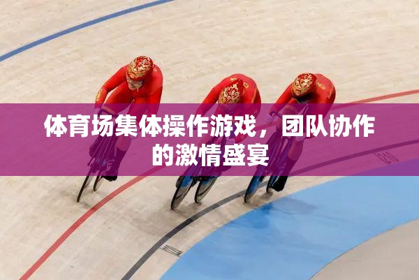 體育場集體操作游戲，團隊協(xié)作的激情盛宴