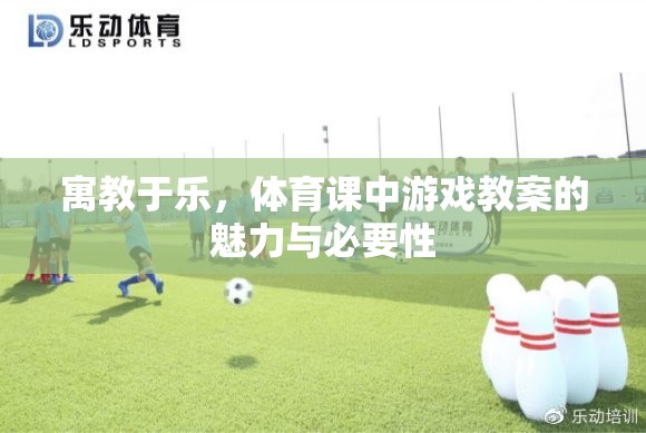 寓教于樂，體育課中游戲教案的魅力與必要性