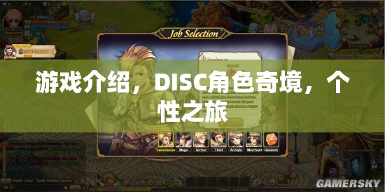 DISC角色奇境，一場探索個性的游戲之旅