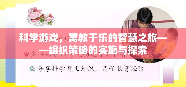 科學(xué)游戲，寓教于樂的智慧之旅——組織策略的實(shí)施與探索