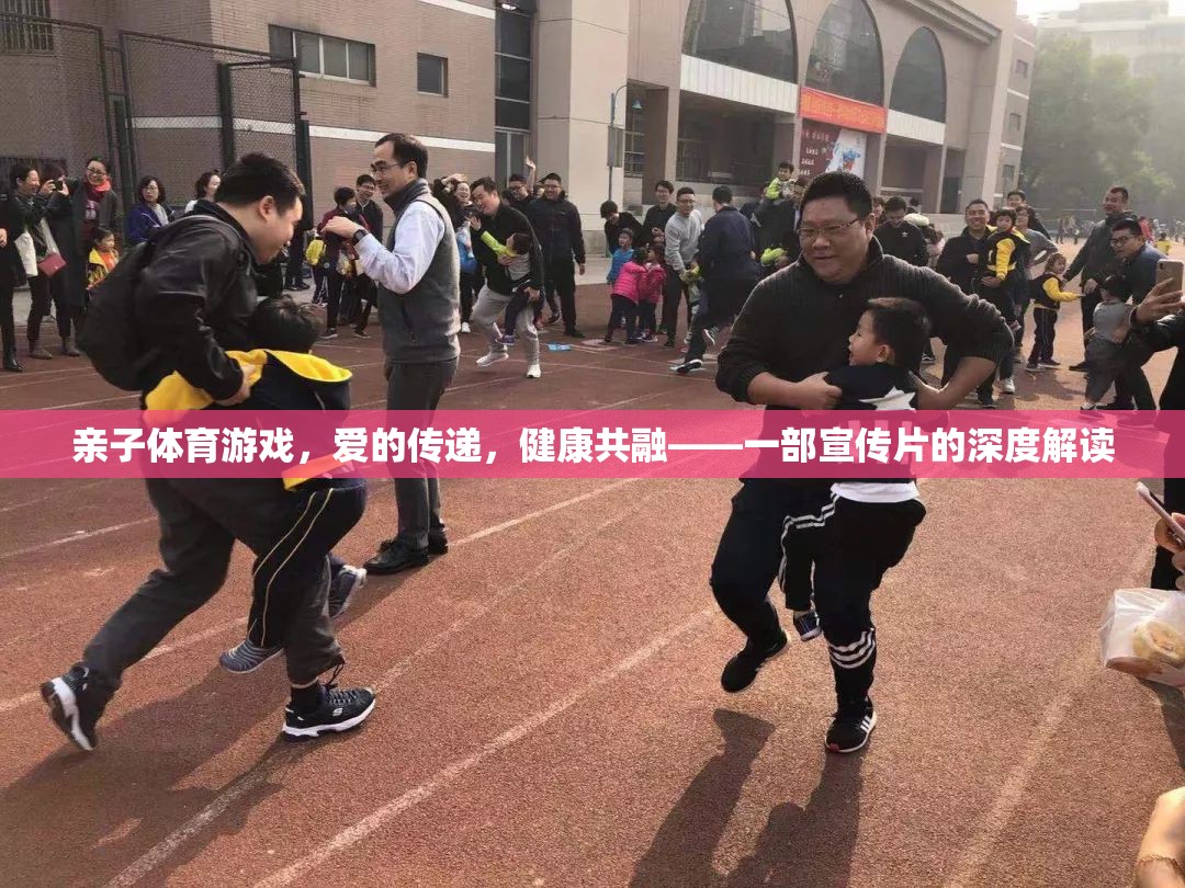 親子體育游戲，愛的傳遞與健康共融——一部宣傳片的深度解讀