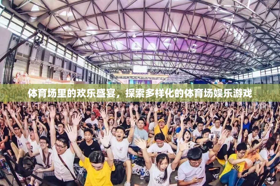 體育場里的歡樂盛宴，探索多樣化的娛樂游戲