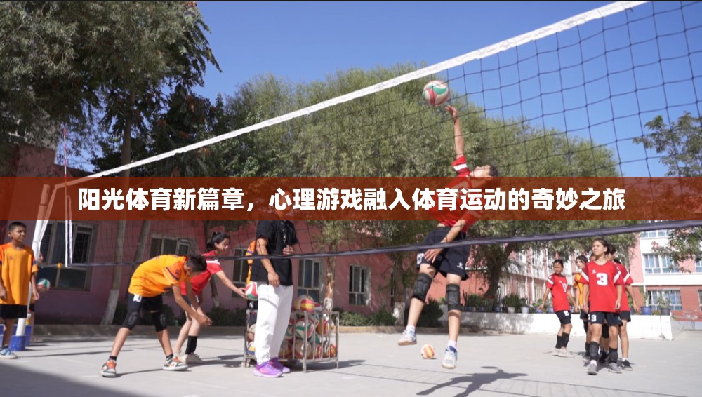 陽光體育新篇章，心理游戲與體育運動的奇妙融合之旅