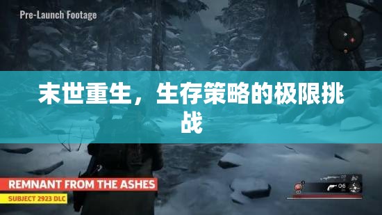 末世重生，生存策略的極限挑戰(zhàn)