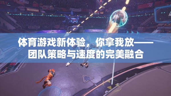 團隊策略與速度的完美融合，全新體育游戲體驗