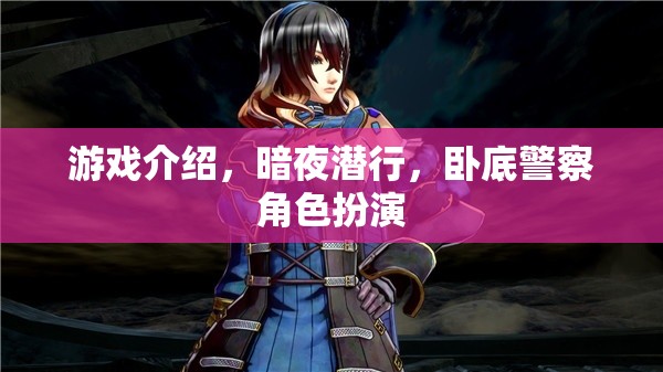 暗夜?jié)撔校P底警察的隱秘之旅
