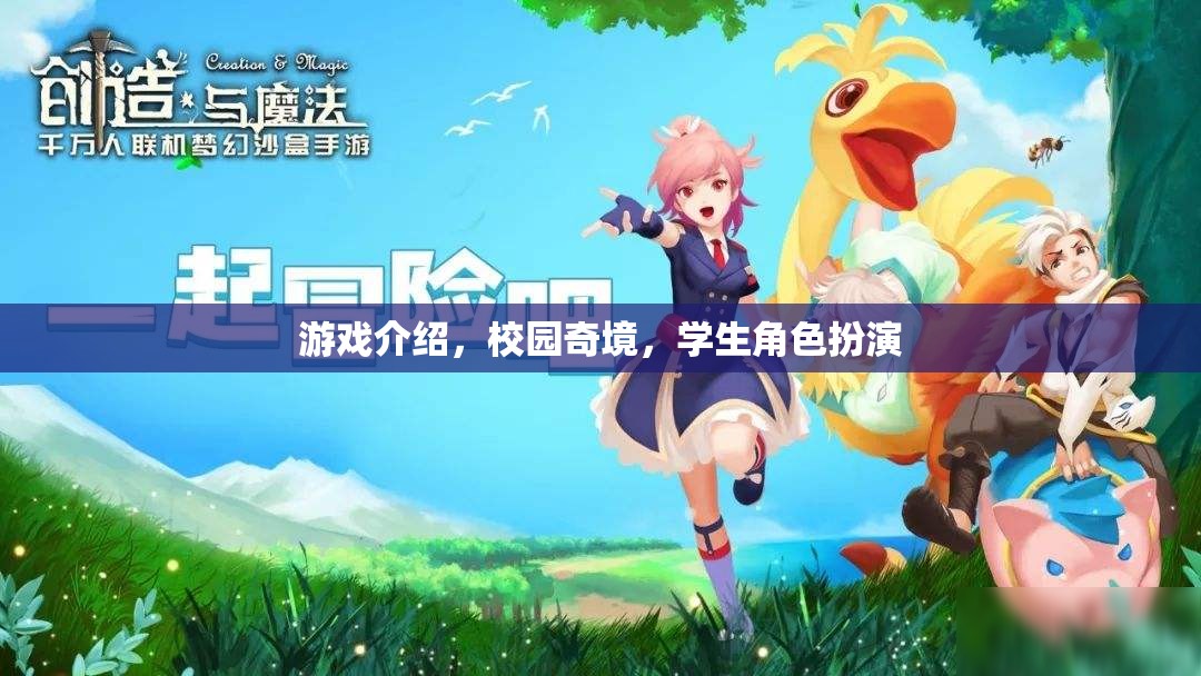 校園奇境，學(xué)生角色扮演的奇幻游戲之旅
