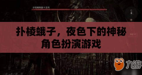 夜色下的神秘角色扮演，撲棱蛾子
