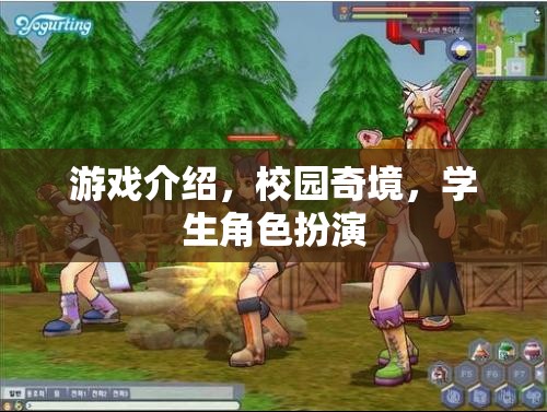 校園奇境，學(xué)生角色扮演的奇幻游戲之旅