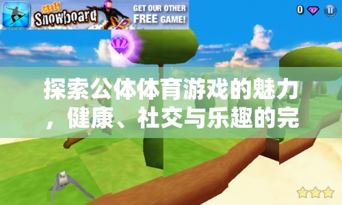公體體育游戲，健康、社交與樂趣的完美融合  第2張