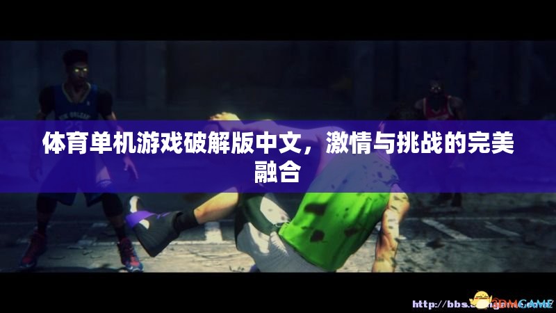 激情與挑戰(zhàn)，體育單機(jī)游戲破解版中文的完美融合