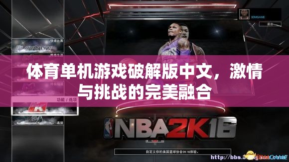 激情與挑戰(zhàn)，體育單機(jī)游戲破解版中文的完美融合