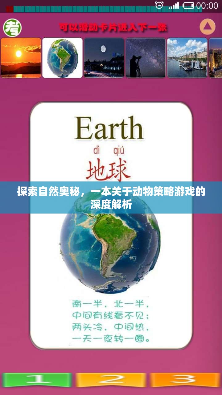 探索自然奧秘，一本深度解析動(dòng)物策略游戲的指南