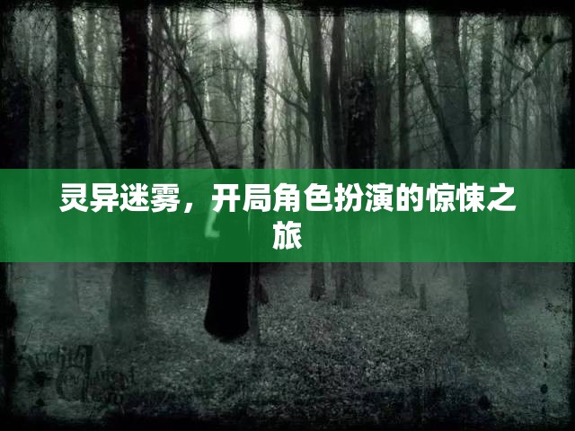 靈異迷霧，驚悚角色扮演之旅  第2張