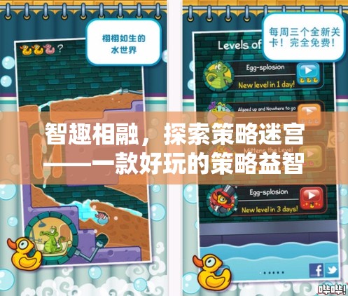 智趣相融，探索策略迷宮——打造趣味橫生的策略益智游戲教案
