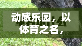 動(dòng)感樂園，以體育之名，樂在游中