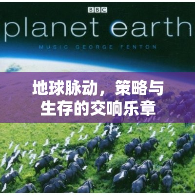 地球脈動(dòng)，策略與生存的交響樂章  第2張