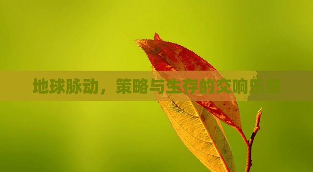 地球脈動(dòng)，策略與生存的交響樂章  第3張