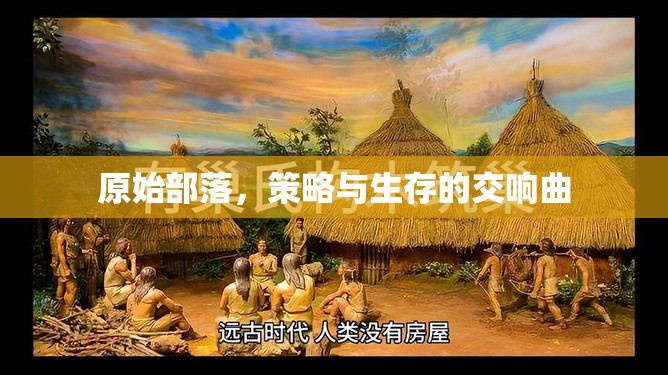 原始部落，策略與生存的交響曲