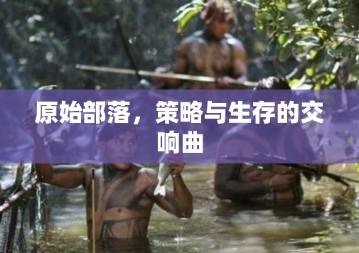 原始部落，策略與生存的交響曲