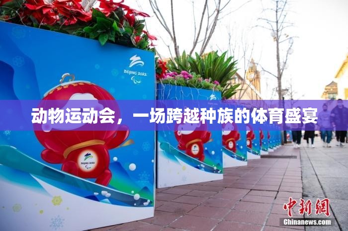 跨越種族的體育盛宴，動(dòng)物運(yùn)動(dòng)會(huì)