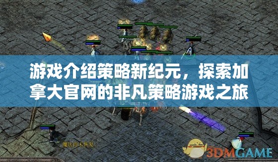 探索加拿大官網(wǎng)，非凡策略游戲之旅，開啟策略新紀元