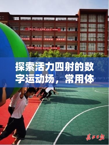 探索活力四射的數(shù)字運動場，常用體育活動運動類游戲?qū)в[