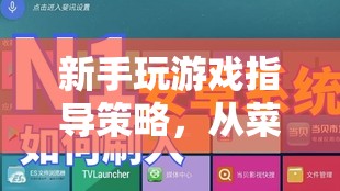 新手游戲進(jìn)階指南，從菜鳥到高手的蛻變之旅