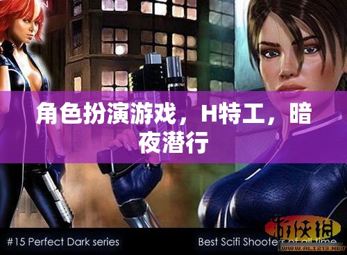 暗夜?jié)撔校琀特工的角色扮演游戲之旅  第2張
