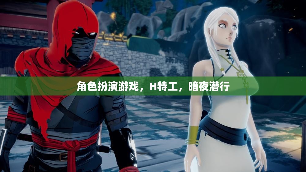 暗夜?jié)撔?，H特工的角色扮演游戲之旅  第3張