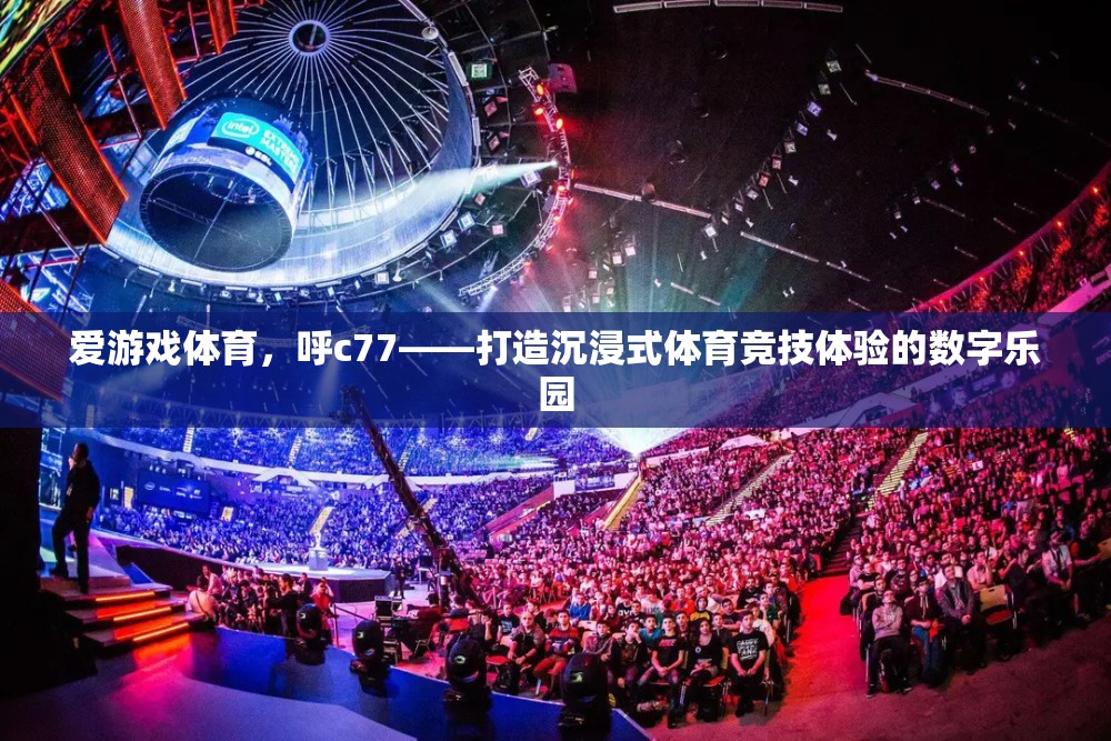愛(ài)游戲體育，打造沉浸式競(jìng)技體驗(yàn)的數(shù)字樂(lè)園