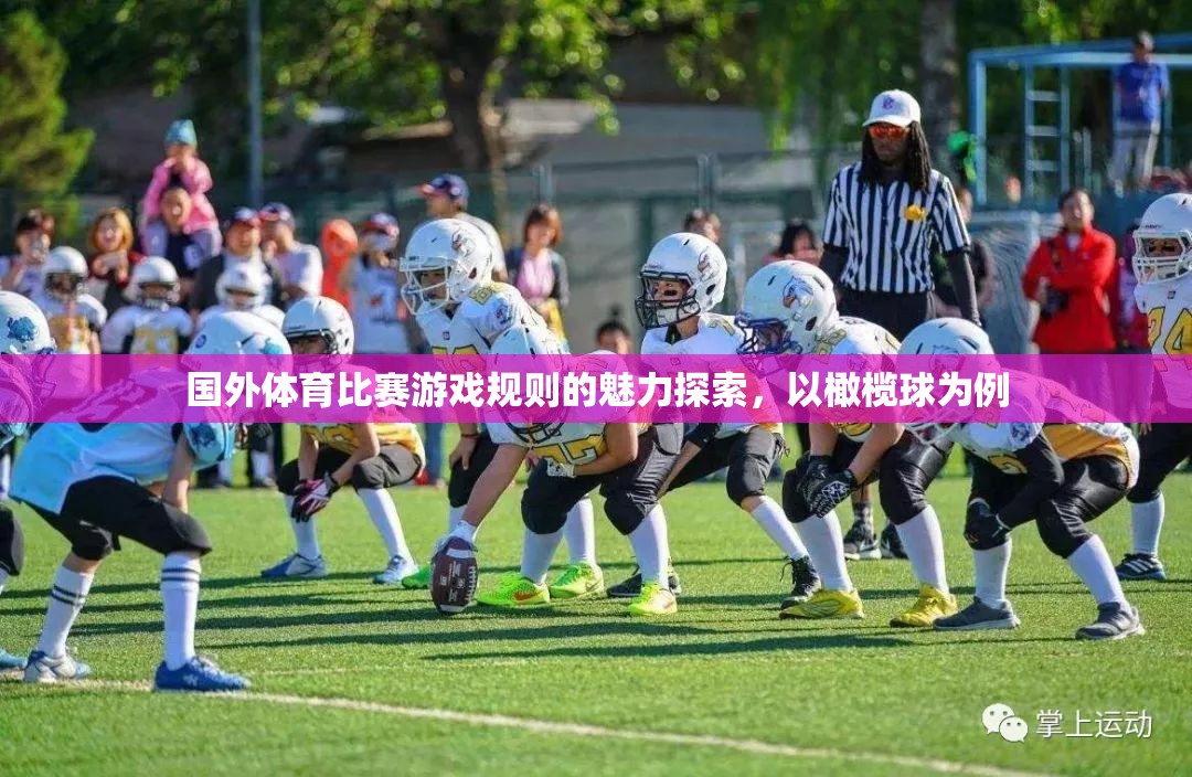 探索國(guó)外體育比賽游戲規(guī)則的魅力，以橄欖球?yàn)槔? class=